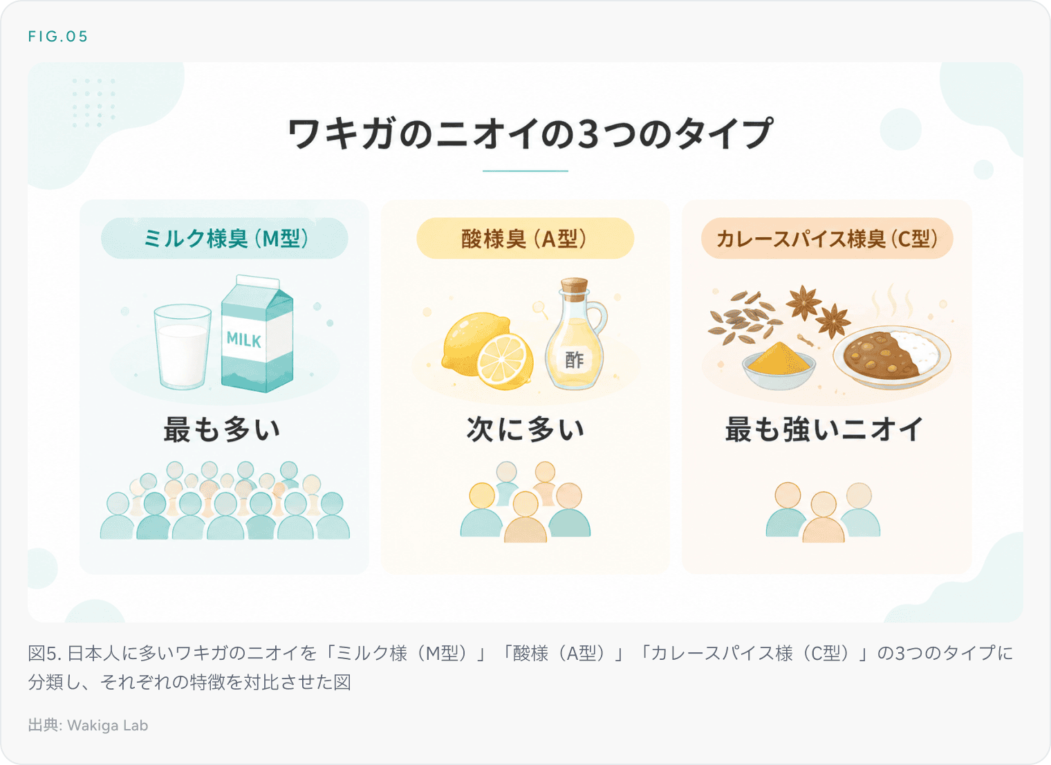 図5. 日本人に多いワキガのニオイを「ミルク様（M型）」「酸様（A型）」「カレースパイス様（C型）」の3つのタイプに分類し、それぞれの特徴を対比させた図